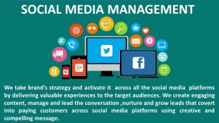 social media marketing company in bangalore